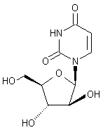 Arabinofuranosyluracil