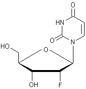 2'--2'-