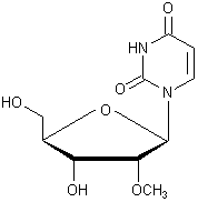 2'-