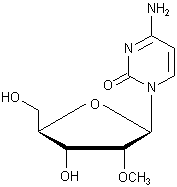 2'-