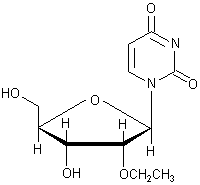2'-