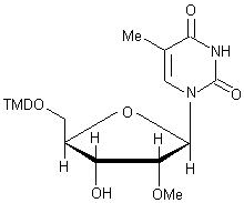 5'-O-(4,4'-׻)-2'--5-׻