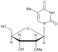 5-׻-2'-