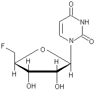 5'--5'-