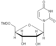 5'-O-(4,4'-׻)-
