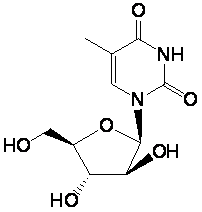 5-׻