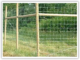 Farm Fence 