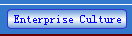 Enterprise Culture