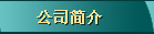 ��˾���