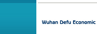 Wuhan Defu Economic Development Co., Ltd.