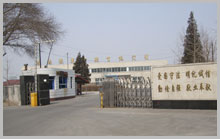 Hubei Shengxing Chemical Trading Co., Ltd.,