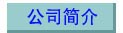 公司简介
