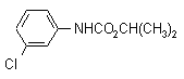 Chlorpropham 98% technical