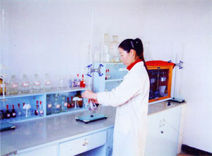 ���ܵĻ����ֶκ�����