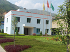 Panzhihua Dinglong Trade Co.,Ltd.