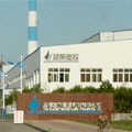 Bluesail subsidiary, vinyl glove manufacturer in China