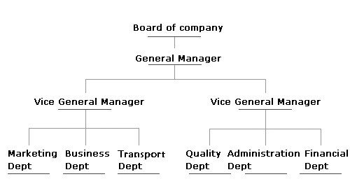 organization