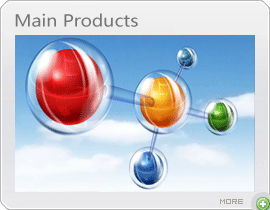 main products