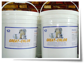 Calcium Hypochlorite Chlor-65G 