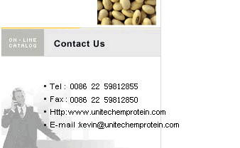 contact us