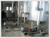 Pump for the production of Sodium sulfide Containing low iron