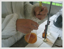 ������Ա�������Ʒ