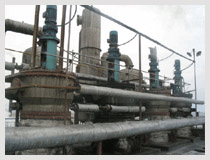 �����������Ƶ�������