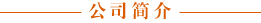 ��˾���