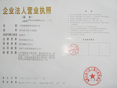 Business License