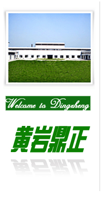 Zhejiang Huangyan Dingzheng Chemicals Co., Ltd.