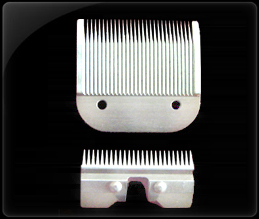 ����������Ƭ808-0