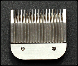 ���Ƽ�����