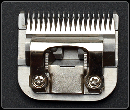 ���Ƽ�����