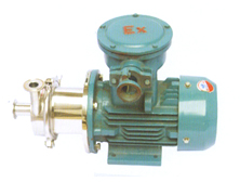 explosion proof machine pump
