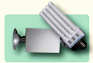 Type：WY4U6