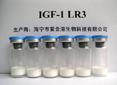 Long IGF-1 R3