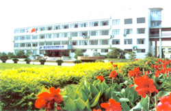 Zhejiang Juhua Calcium Carbide Co., Ltd.