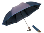 Fold Umbrella