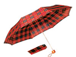 Fold Umbrella