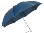Fold Umbrella