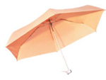 Fold Umbrella