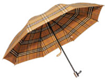 Fold Umbrella