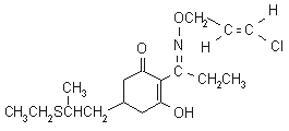 CLETHODIM