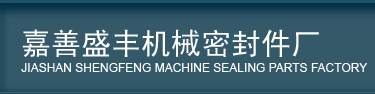  Jiashan Shengfeng Machine Sealing Parts Factory