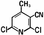 2,6-Dichloro-4-methylnicotinonitrile