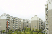 TENS-7010A/TENS-7010B 水性罩光面漆